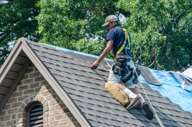 Roof Gutter Cleaning in Dash Point, WA